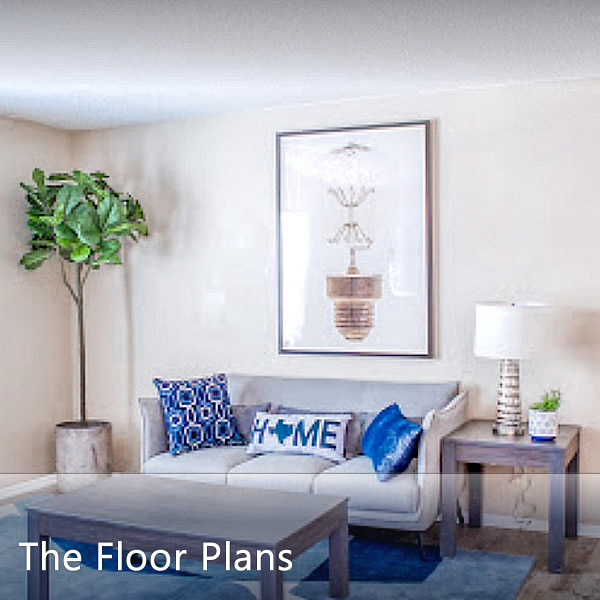 Spacious Floor Plans